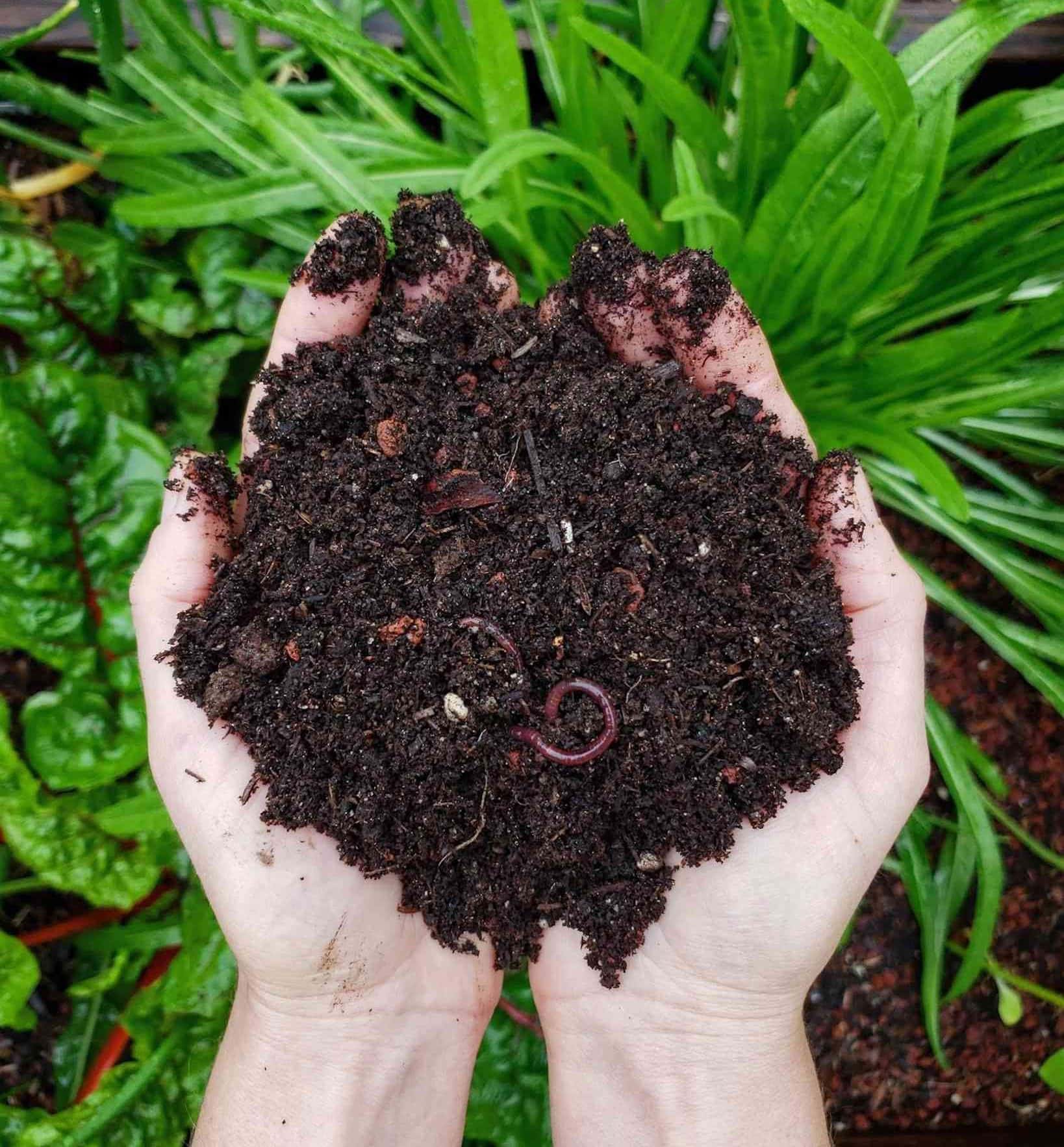 Hands mixing compost into garden soil